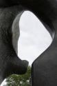 © Henry Moore / BONO. Foto © Per Berntsen