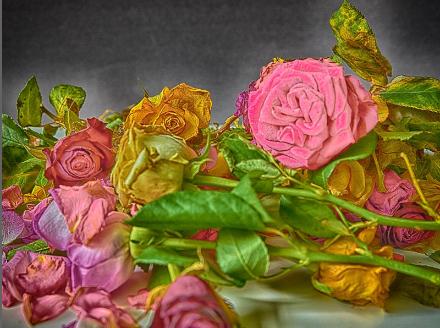 © Per Maning / BONO. Foto © Per Maning