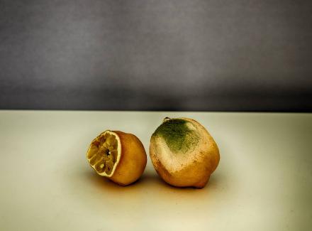 © Per Maning / BONO. Foto © Per Maning