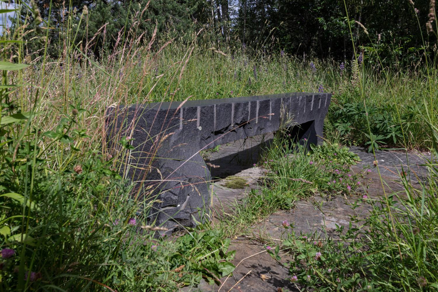 © Werner Zellien. Foto © Werner Zellien
