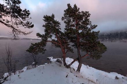 UTØYA