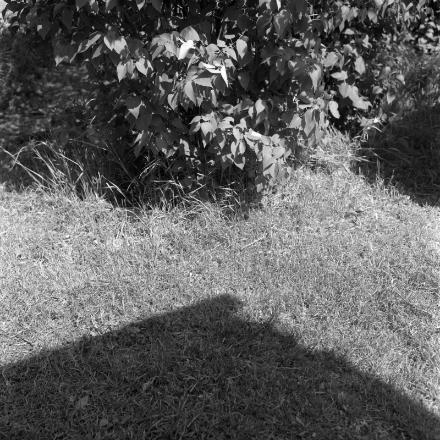 © Dag Alveng / BONO. Foto © Dag Alveng