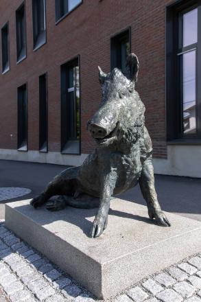 Foto © Ingvild Brekke Myklebust